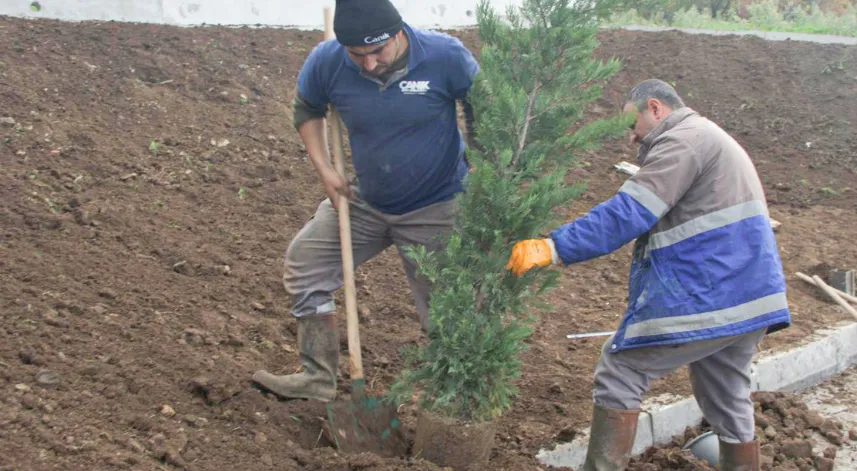 33 Bin 668 ağaç kesilmekten kurtarıldı