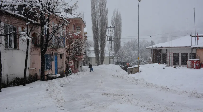 Başçiftlik'te kar yağışı etkili oldu