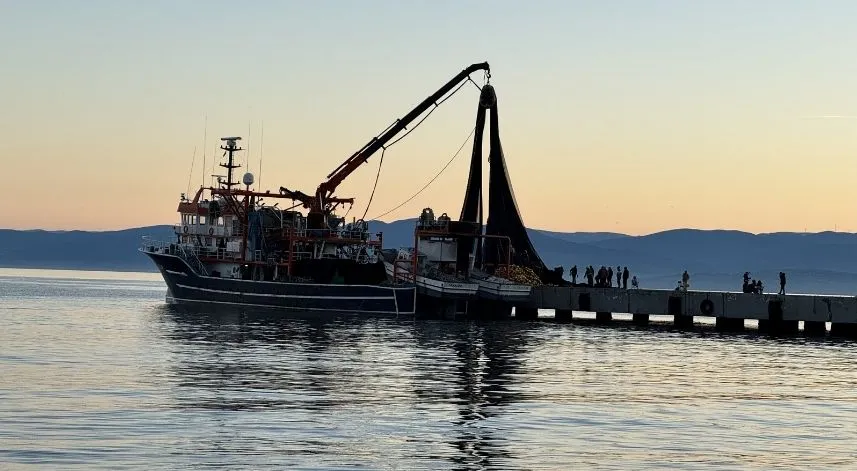 Karadeniz'de avlanan balıkçıların güvenli mola alanı Sinop Limanı