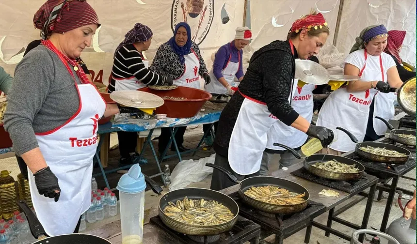 Bodrum'da düzenlenen festivalde 3 ton hamsi dağıtıldı