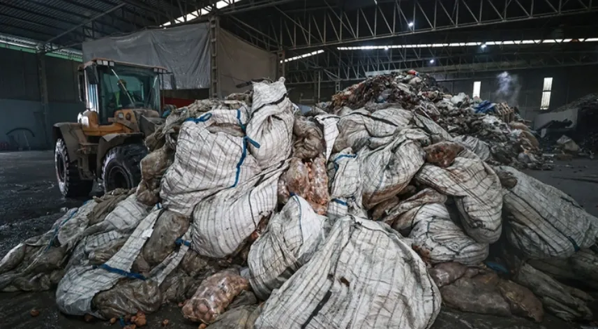 En Çok Tüketilen Sebzede Hastalık! 400 Ton İmha Edildi