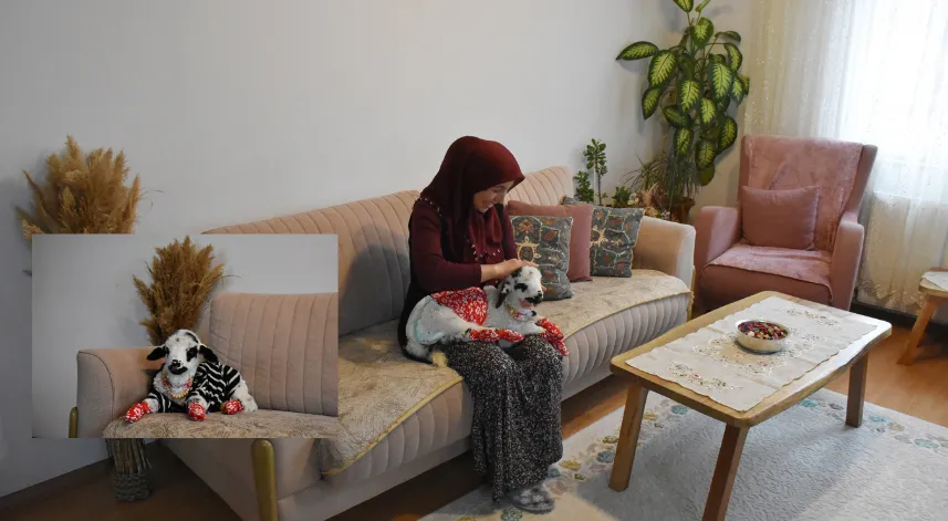 Evinde biberonla beslediği kuzuyla mahallede de geziyor