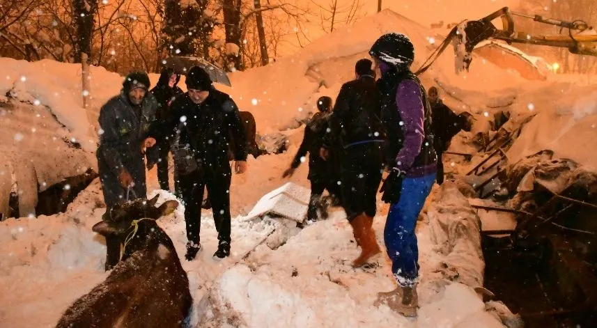 Kar nedeniyle çöken ahır çatısının altında kalan hayvanlar kurtarıldı