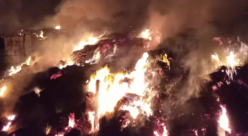 Kırklareli'nde yangın paniği: Ağıl küle döndü