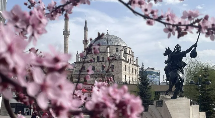 Bolu kent merkezinde meyve ağaçları çiçek açtı