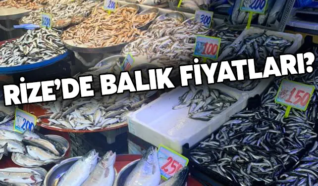 Denizde Balık Azaldı Fiyatlar Bir Miktar Yükseldi