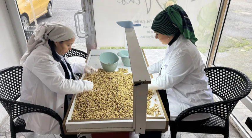 Fındığı katma değerli hale getirip kadın istihdamına katkı sağladı