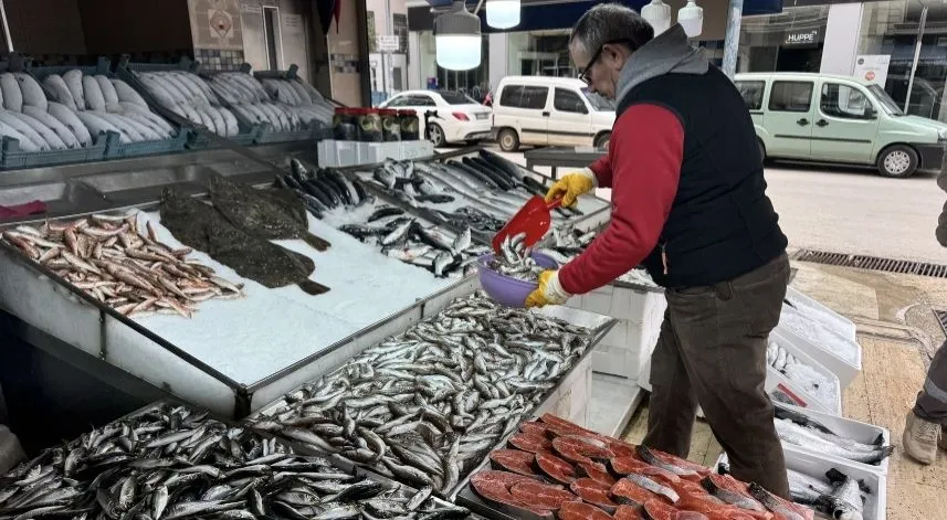 Balıkçı kenti Sinop'ta av sezonu bereketli kapanıyor