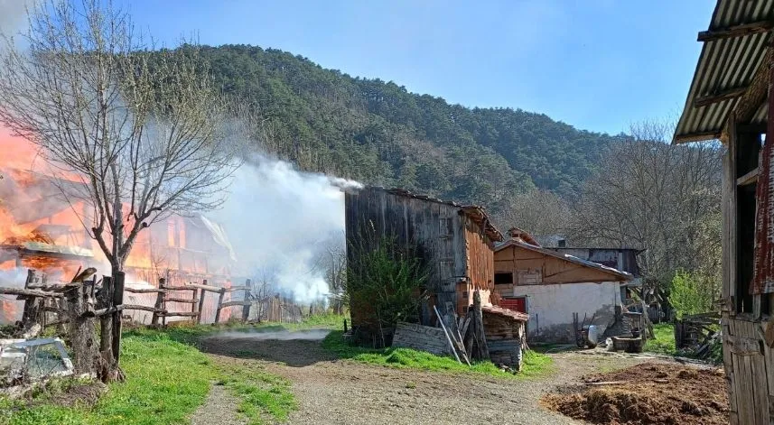 Sobadan çıkan yangın evi küle çevirdi