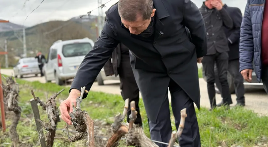 AK Parti Tokat Milletvekili Arslan, zirai dondan etkilenen köyleri ziyaret etti