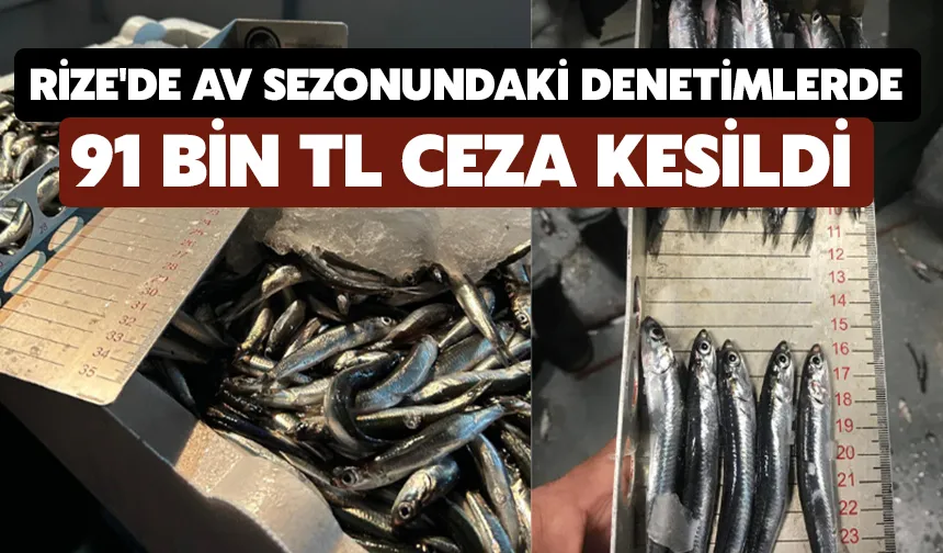 Rize'de av sezonundaki denetimlerde 91 bin TL ceza kesildi