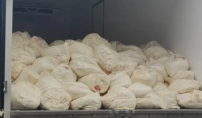 Sakarya’da son kullanma tarihi geçmiş 23 ton lor peyniri ele geçirildi