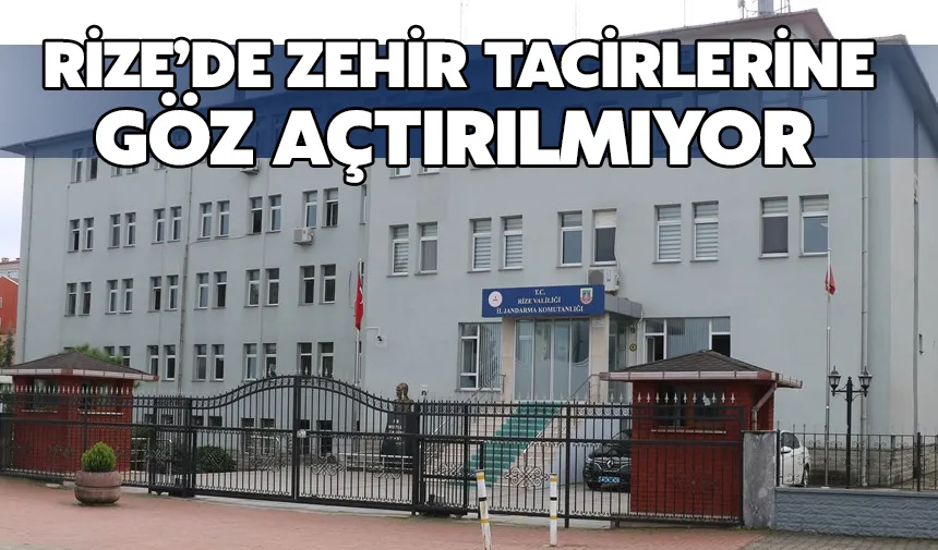 Rize’de Operasyon: 2 Tutuklama, 12 Yakalama