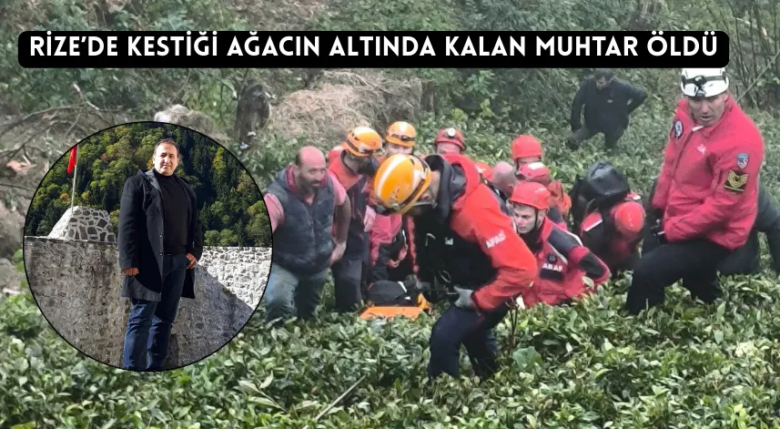 Rize’de kestiği ağacın altında kalan muhtar öldü