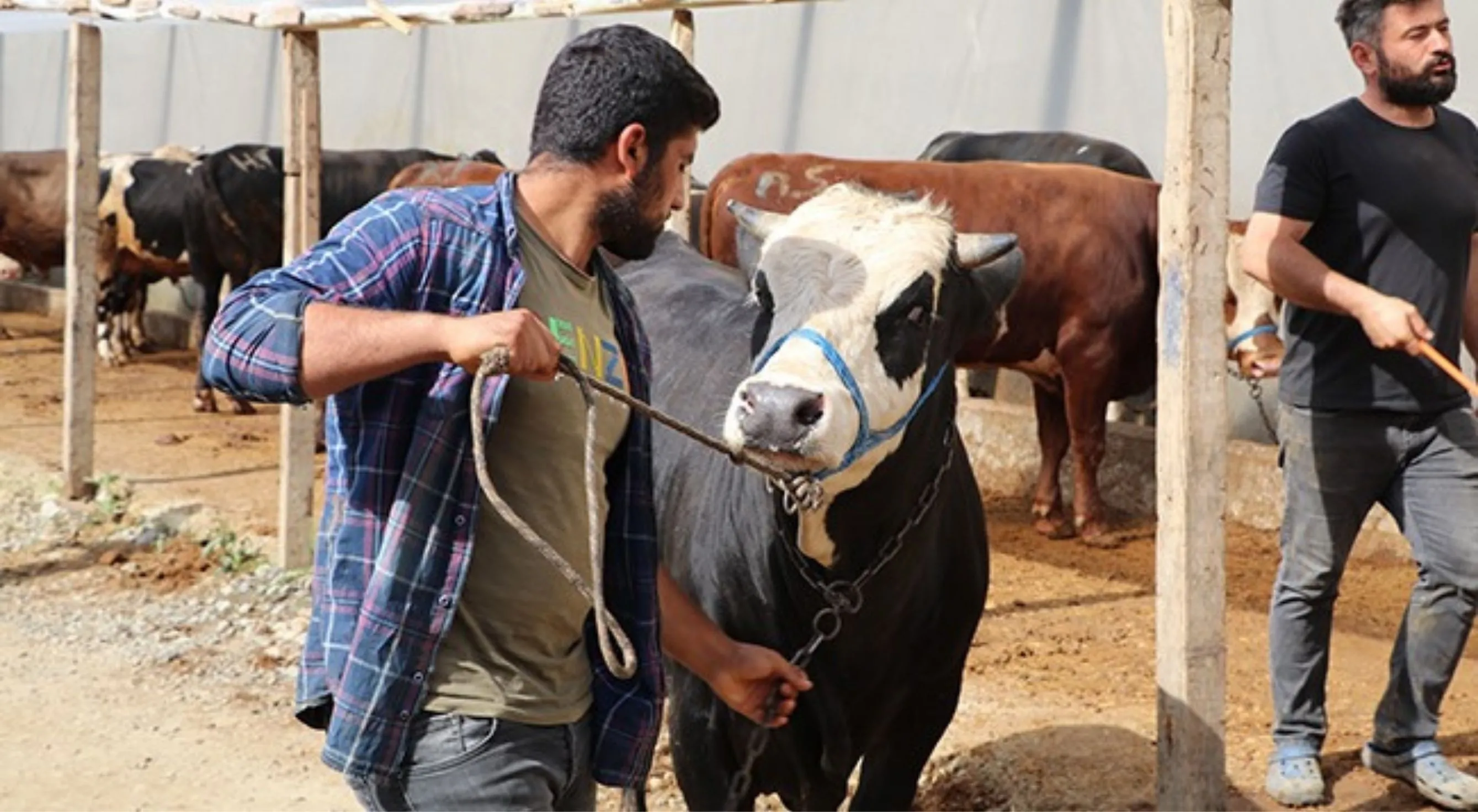 2025 yılı vekaletle kurban kesim ücretleri belirlendi