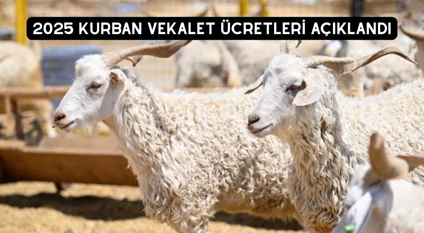 2025 Kurban vekalet ücretleri açıklandı