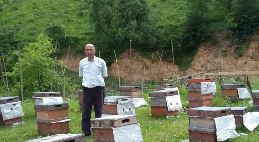 Ayılar arıcılara zor günler yaşatıyor