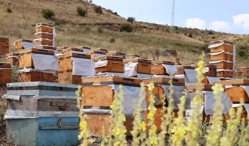 Arıcılar endişeli, baharın gecikmesi polen krizine neden olabilir