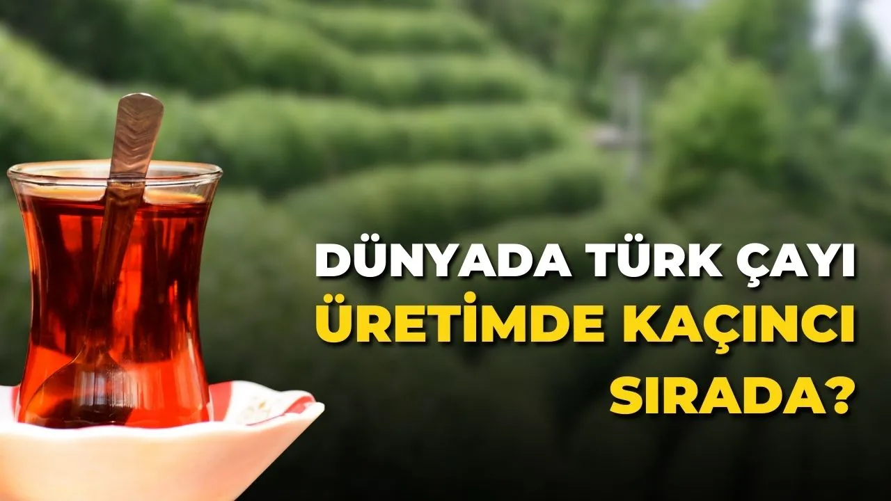 Dünyada Türk Çayı Üretimde Kaçıncı Sırada?