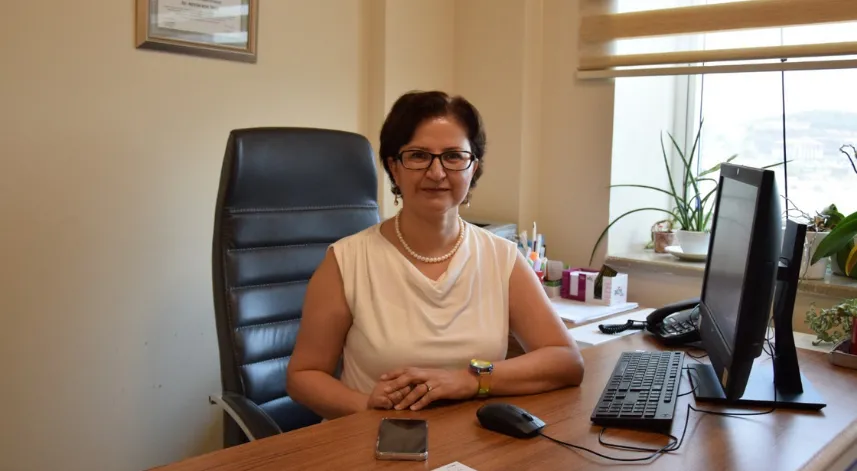 Sivrisinek ısırığı ile gelen tehlike
