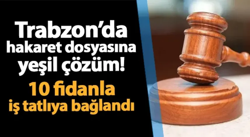 Trabzon'da hakaret şikayetiyle ilgili dosyada taraflar, TEMA Vakfına fidan bağışı şartıyla uzlaştı