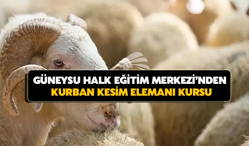 Güneysu Halk Eğitim Merkezi’nden kurban kesim elemanı kursu