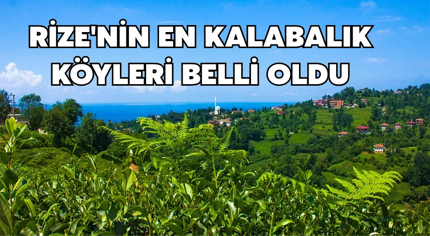 İşte Rize'nin nüfusu en fazla olan köyleri