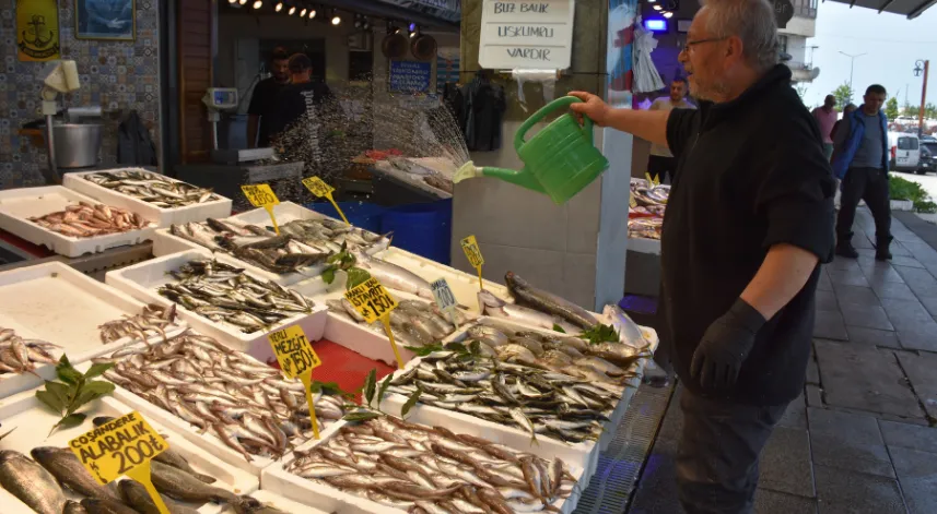 Trabzon'da balık çeşitleri tezgahları süslüyor