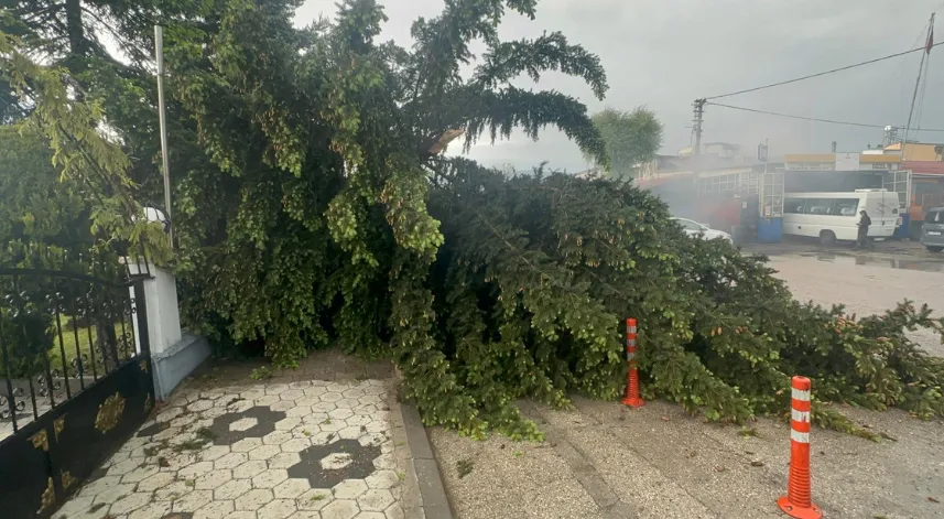 Bolu'da sağanak ve fırtına yaşamı olumsuz etkiledi