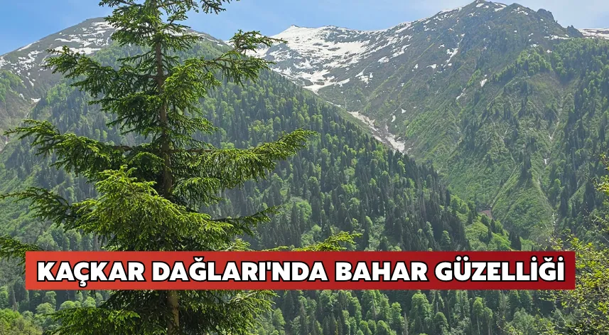 Kar örtüsünün kalktığı Kaçkar Dağları'nda bahar güzelliği