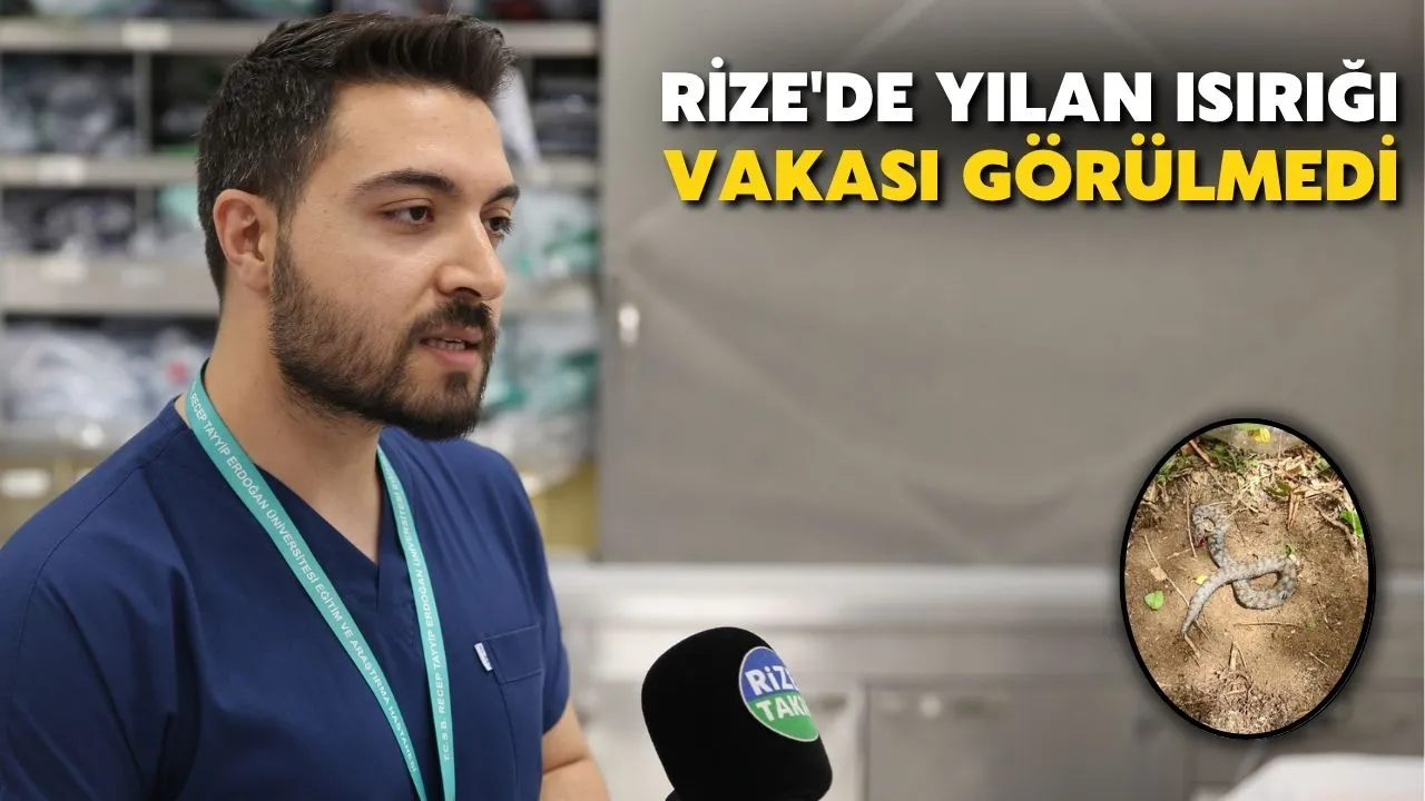 Acil Tıp Uzmanı Ataş: ''Rize'de Yılan Isırığı Vakası Görülmedi''