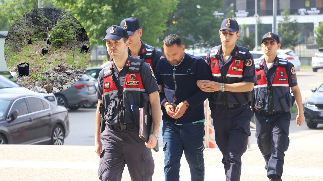 Ormanda saksılarda yetiştirdiği kenevirleri sulamaya giderken yakalandı