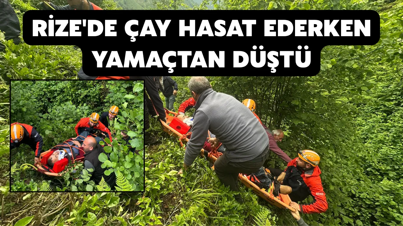 Rize'de çay hasat ederken yamaçtan yuvarlanan kişi yaralandı