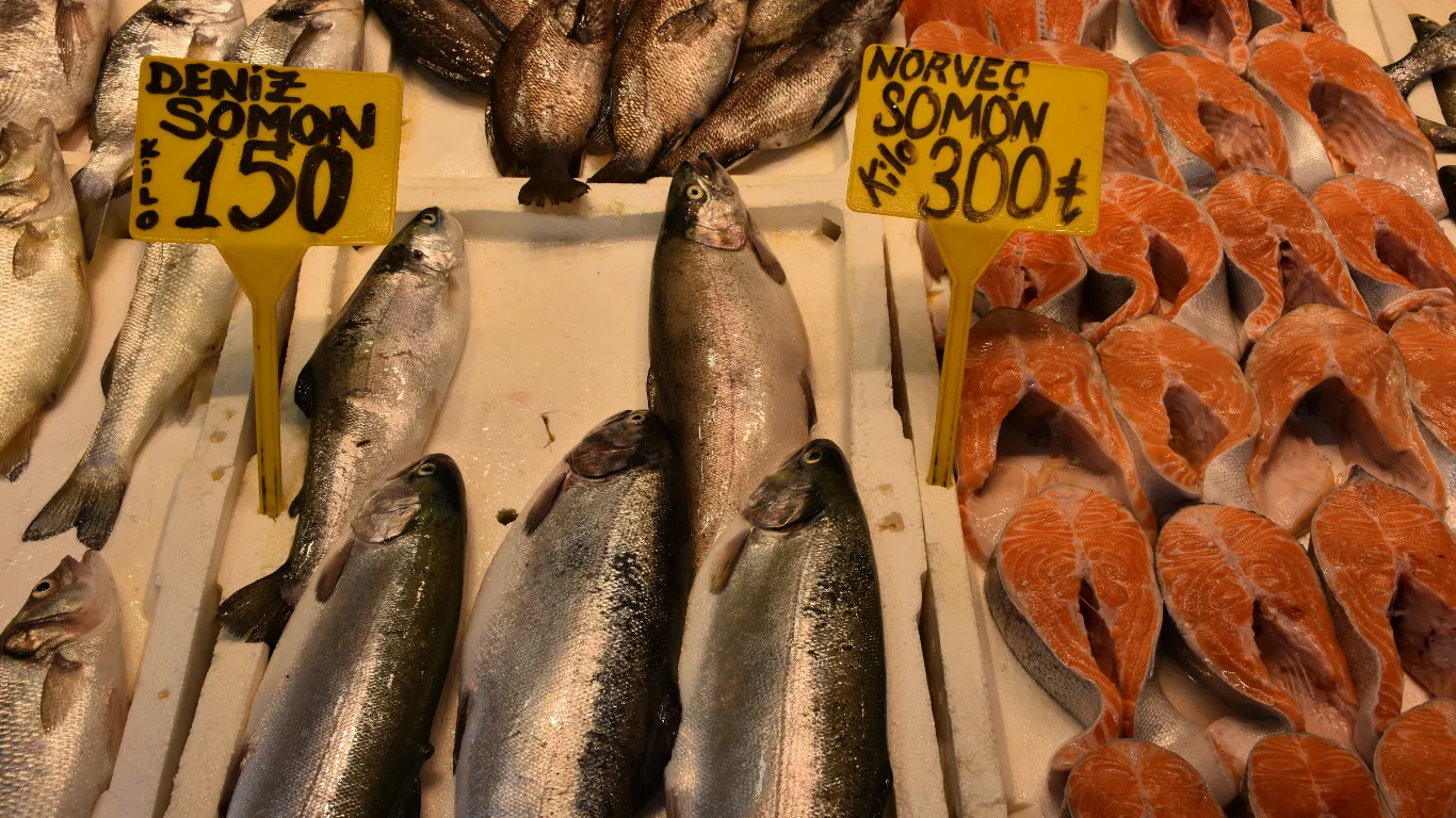 Trabzon'da tezgahları somon ve alabalık süslüyor