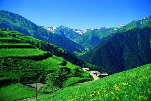 Karadeniz’in Yeşil Hazineleri