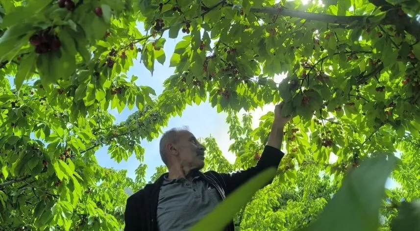 Doğayla iç içe lezzetli bir deneyim