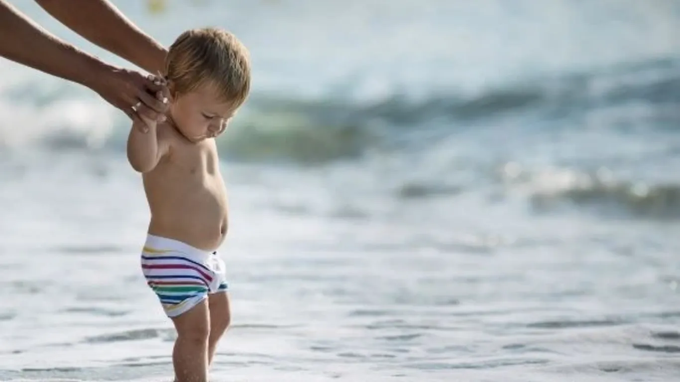Bebekler denize 6 ayı dolunca, havuza 1 yaşını geçtikten sonra girebilir