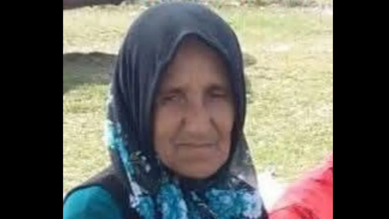 Ordu'da, hafriyat kamyonunun çarptığı yaya öldü