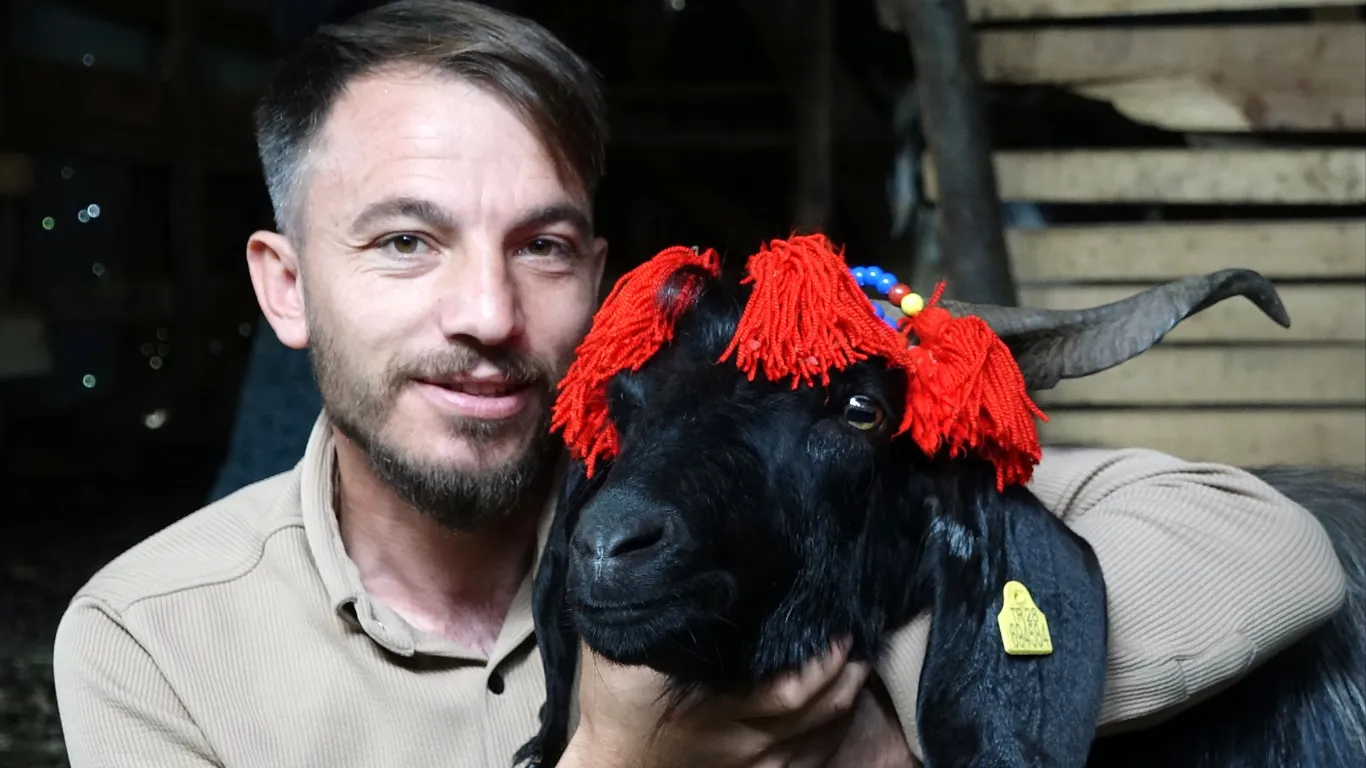 Keçi inadı, Şanslı’yı hayatta tuttu; kurbanlığını kesmeye kıyamadı