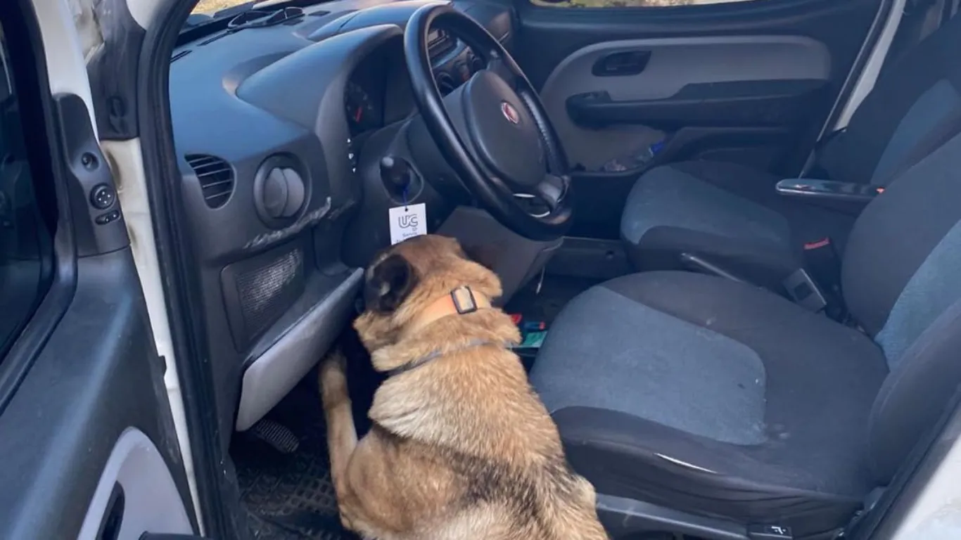 Gizli bölmedeki uyuşturucuyu 'Pako' buldu