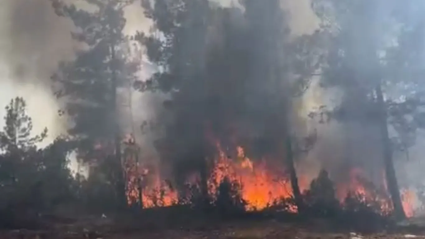 Karabük'te orman yangını 45 dakikada söndürüldü