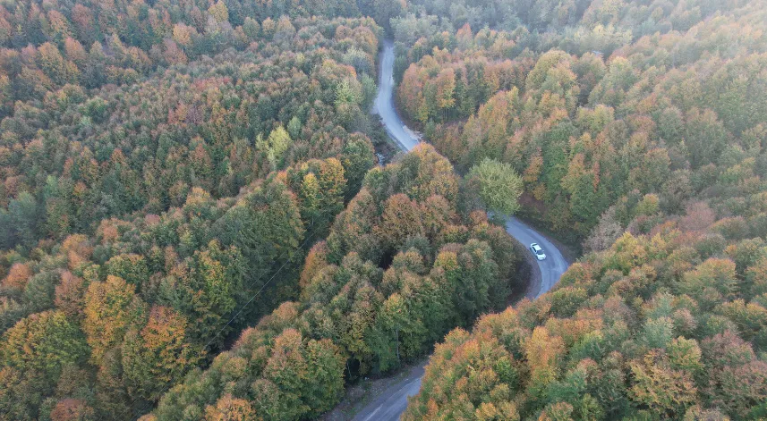 Zonguldak Valiliği 30 Eylül’e kadar ormanlara girişleri yasakladı