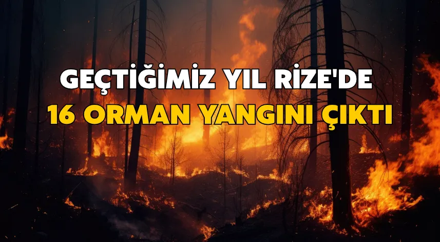 Geçtiğimiz yıl Rize'de 16 orman yangını çıktı