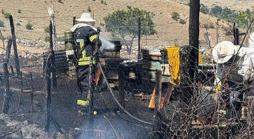 Arı kovanları yandı