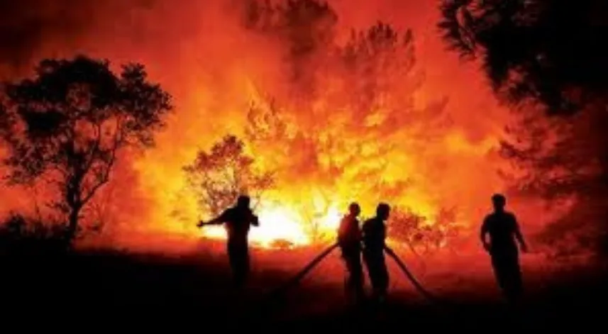 'Uçaktan atılan su sadece yangını geciktirir, esas mücadele yerde yapılır