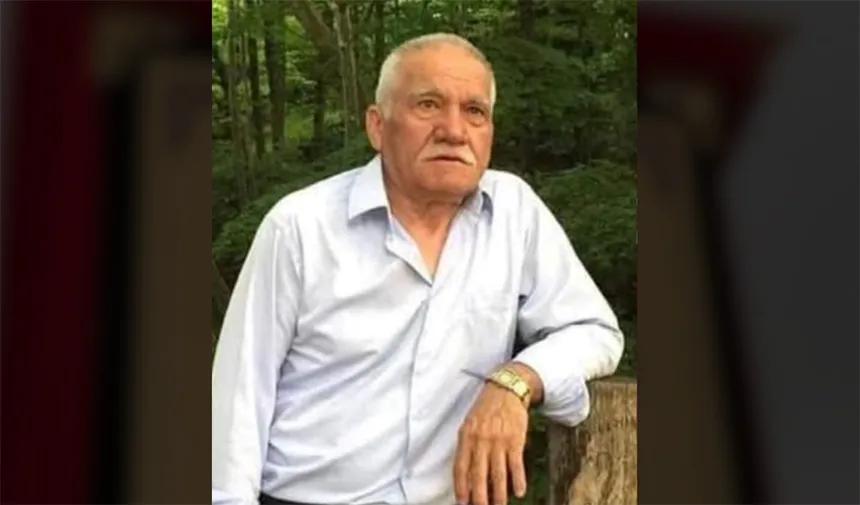 Giresun’da arı sokan çiftçi öldü