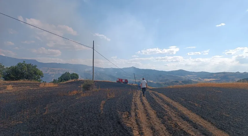 Çorum'da 25 dönüm buğday tarlası yandı