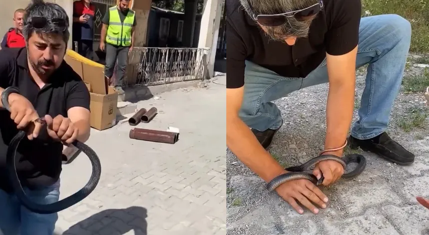 Eve giren yılanı yakalamak isterken parmağını kaptırdı