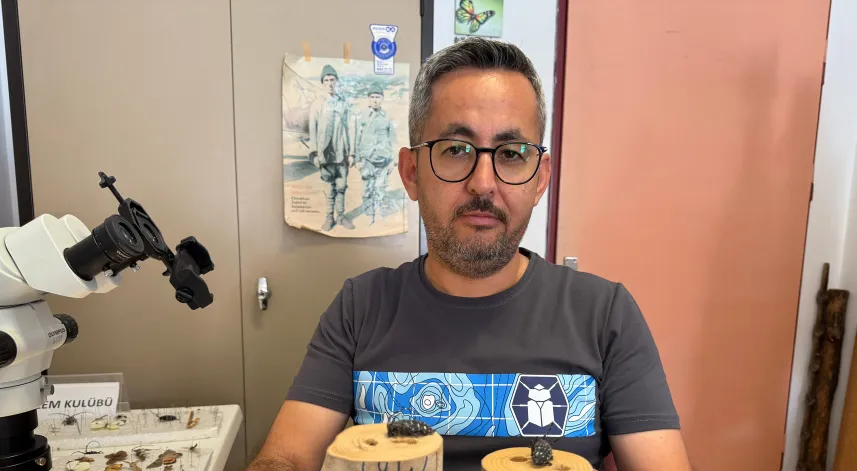 Dedektör köpekler, sınır kapılarında zararlı böcekleri tespit edecek