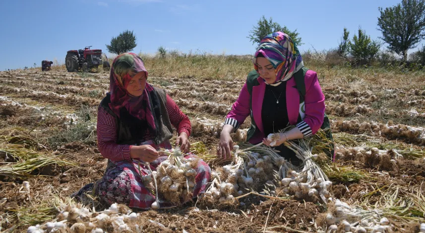 Yeşilaydan sarımsak tarlasında çalışan kadınlara ziyaret